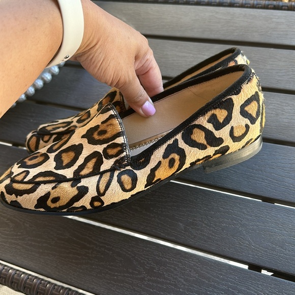 Sam Edelman leopard flats size 6. Gently used - Picture 5 of 6